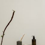 A simple arrangement of bathroom items including a wooden toothbrush and liquid soap dispenser.