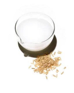 imgi_31_rice-water-bioferment-CryhK0sL